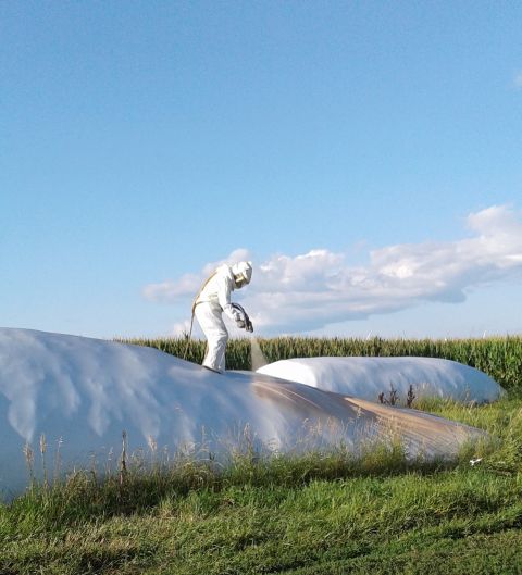 Spray foam insulation for agricultural buildings