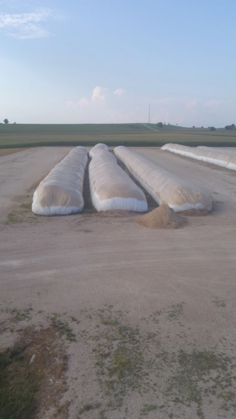 Ag building insulation and coating project