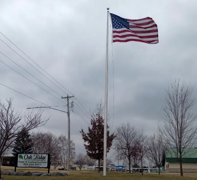 a flag on a pole
